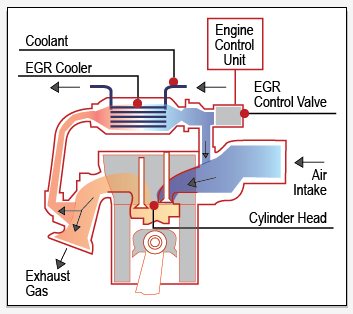illustration of egr with names explained